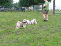 Klik op de foto voor groter formaat